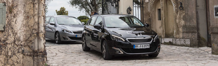 Bridgestone DriveGuard im Test