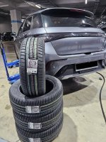 Lassa Revolta - User Submitted Image