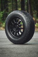 BFGoodrich Trail-Terrain T/A+ Reifen